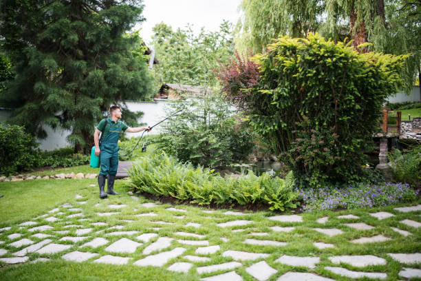 Best Residential Pest Control  in Gainesville, FL