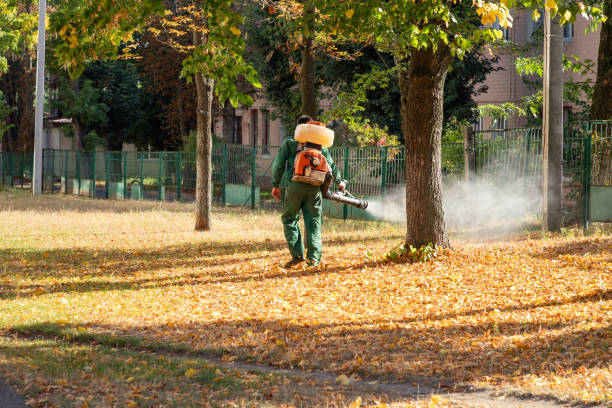 Best Pest Removal Services  in Gainesville, FL