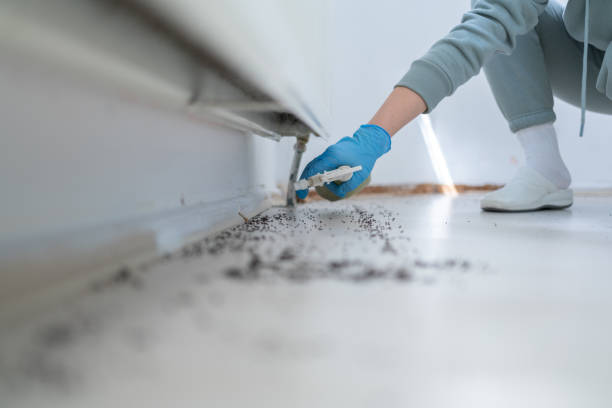 Best Affordable Pest Control Services  in Gainesville, FL